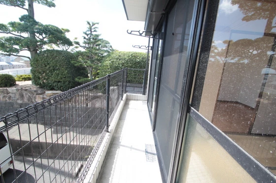 ハイカムール西