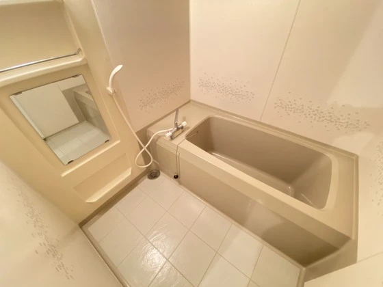 ハイカムール西