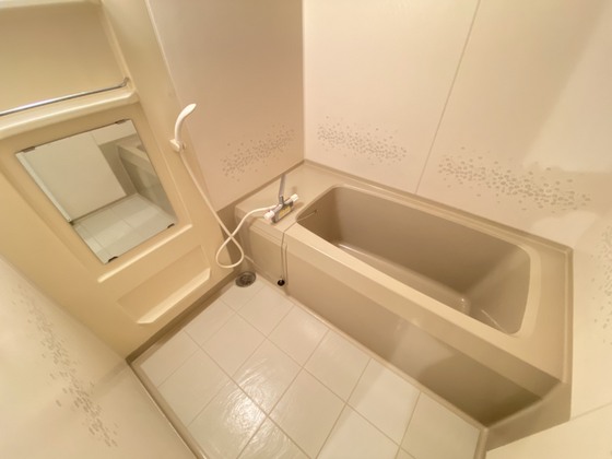 ハイカムール西