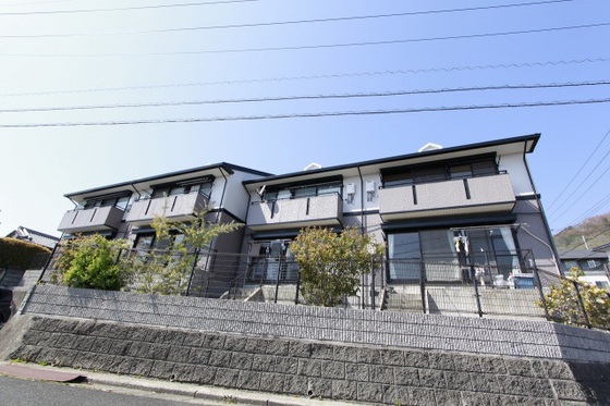 ハイカムール西