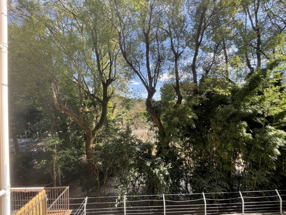 ノーブル縮景園