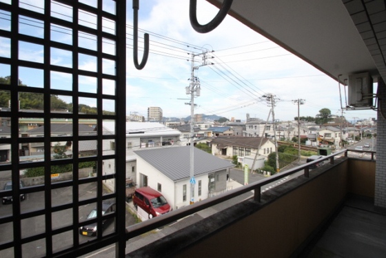 ワイズカンパニー