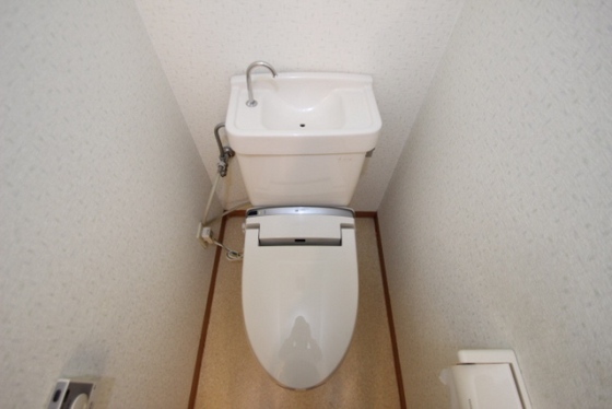 ワイズカンパニー