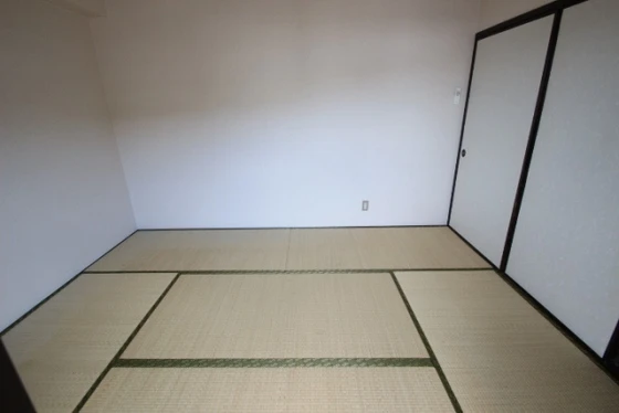 ワイズカンパニー