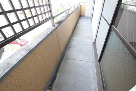 ワイズカンパニー