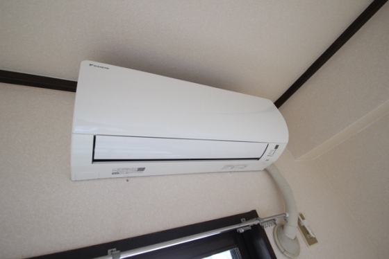 ワイズカンパニー