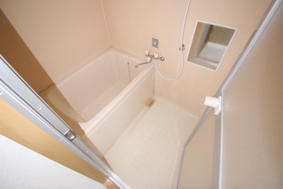 ワイズカンパニー