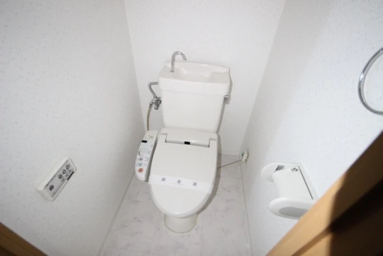 ワイズカンパニー