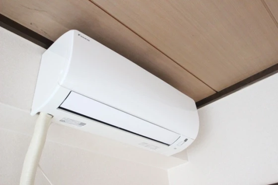 ワイズカンパニー