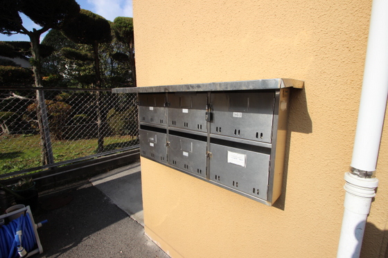 ワイズカンパニー