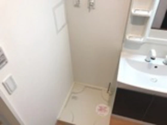 グレイスクリアー早時