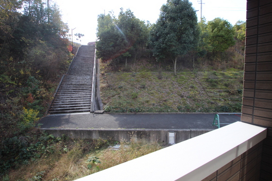 グレイスクリアー早時