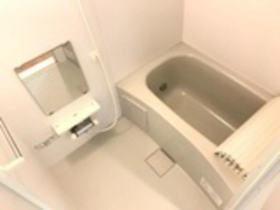 グレイスクリアー早時