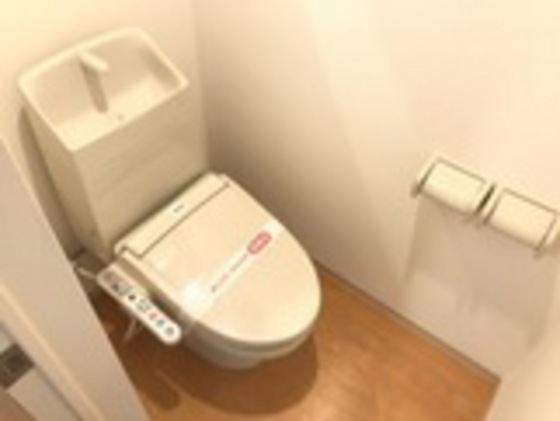 グレイスクリアー早時