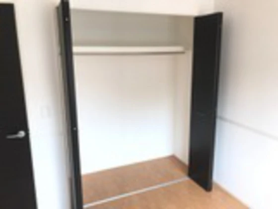 グレイスクリアー早時