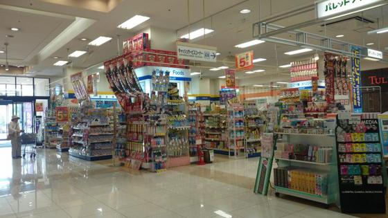 エルメゾン坂原 A