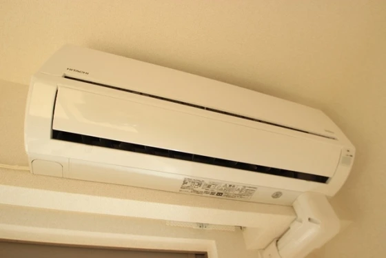 メゾン・ド・アマリリオⅡ