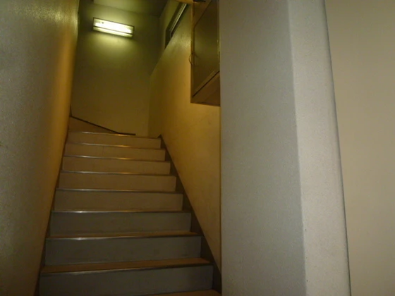 フラットモール