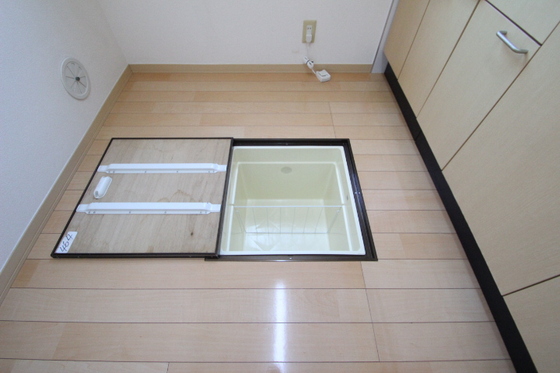 レーヴィンス 栄