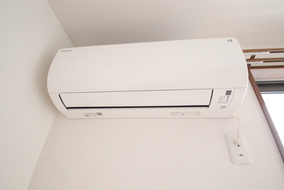 シャウエル牛田