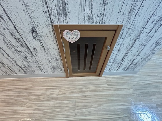 ノースワン庚午