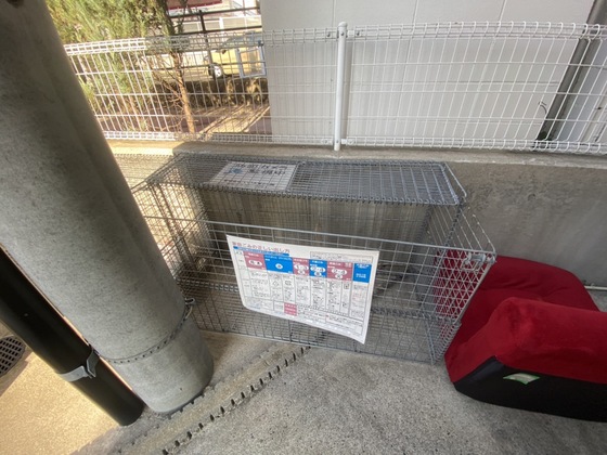 ノースワン庚午