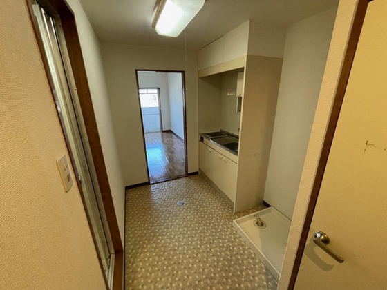 ドラゴーン金原