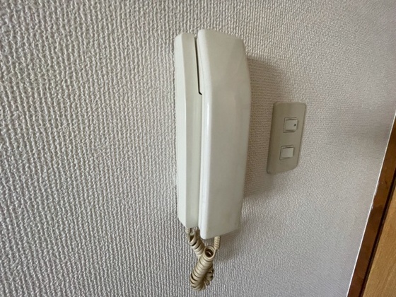 ドラゴーン金原