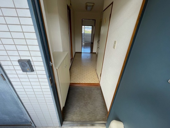 ドラゴーン金原