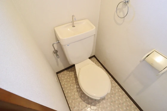 ドラゴーン金原