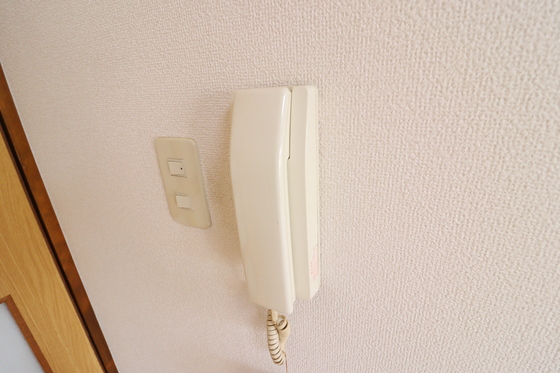 ドラゴーン金原