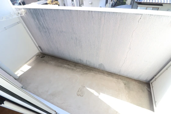 ドラゴーン金原