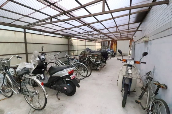 ドラゴーン金原