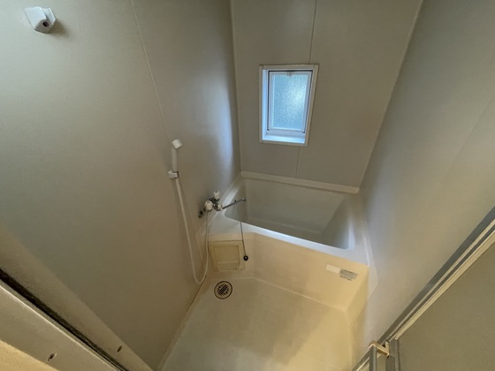 フローレンス向井