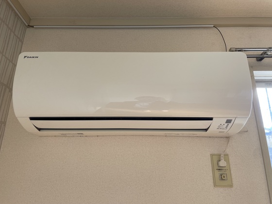 フローレンス向井