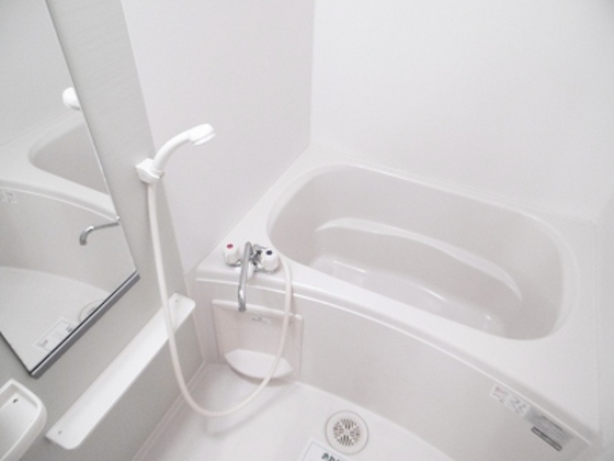 ホワイトローズ