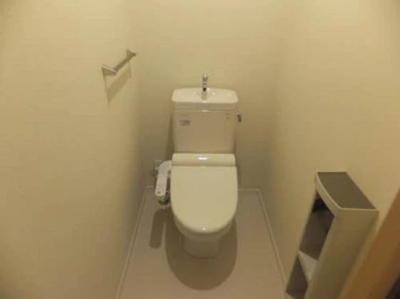 シャーメゾン真彩 N50