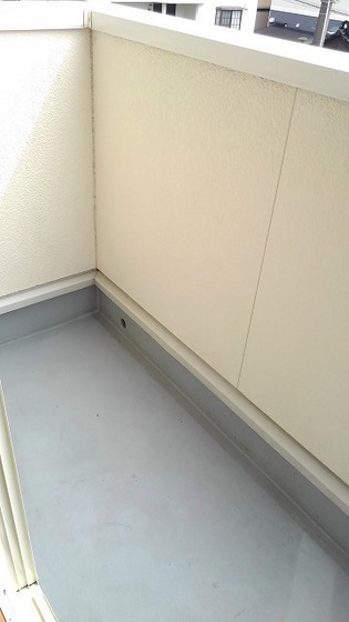 ラフィナート ヴィオラ