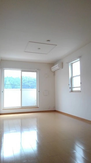 ラフィナート ヴィオラ