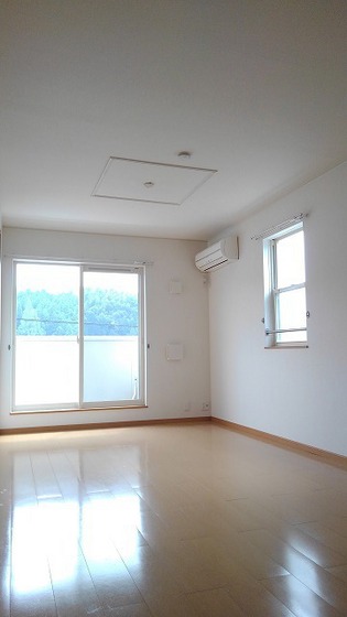 ラフィナート ヴィオラ