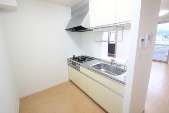 シャーメゾン河野 SOUTH