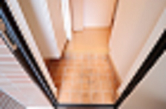 サンシャイン C