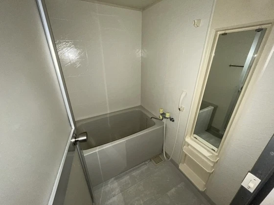 カンファタブルタガワⅡ