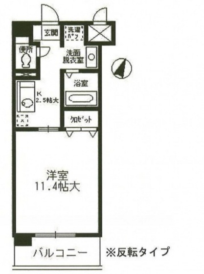 コートカメリア