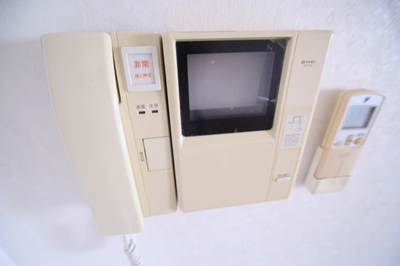 コートカメリア