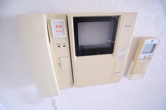 コートカメリア