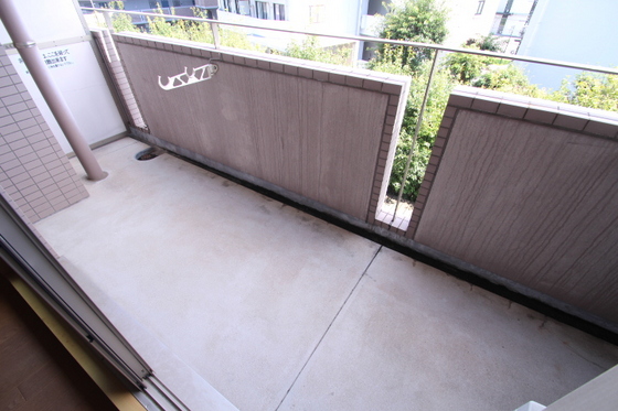 コートカメリア