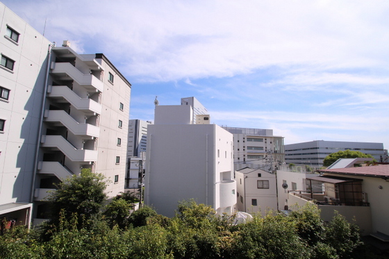 コートカメリア