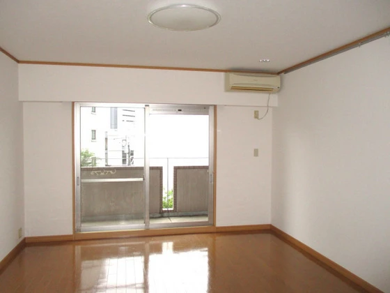 コートカメリア