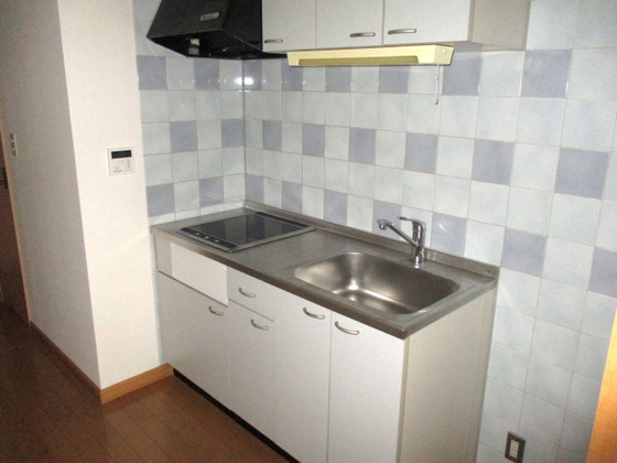 コートカメリア